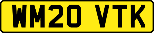 WM20VTK