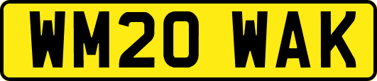 WM20WAK
