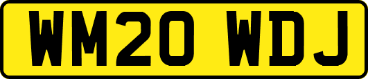 WM20WDJ