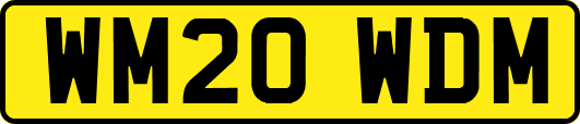 WM20WDM