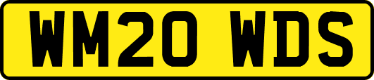 WM20WDS