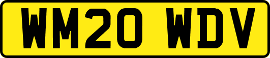 WM20WDV