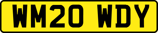 WM20WDY