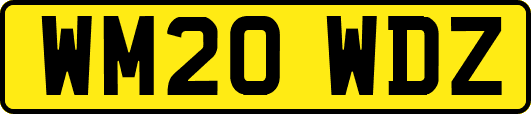 WM20WDZ