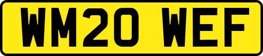 WM20WEF
