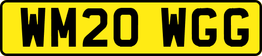 WM20WGG