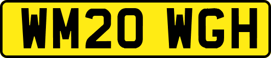 WM20WGH