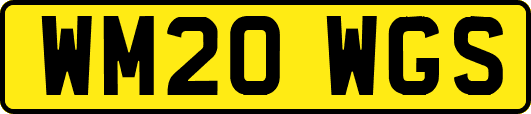 WM20WGS