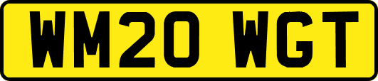 WM20WGT
