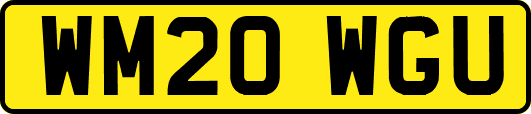 WM20WGU