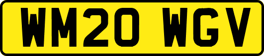 WM20WGV