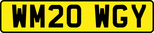 WM20WGY