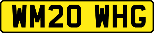 WM20WHG
