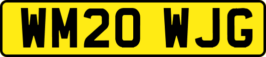 WM20WJG
