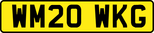 WM20WKG