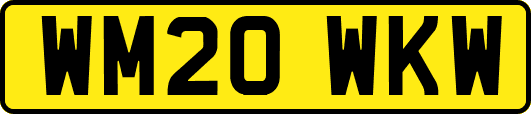 WM20WKW