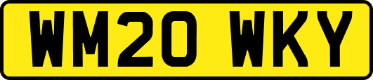 WM20WKY
