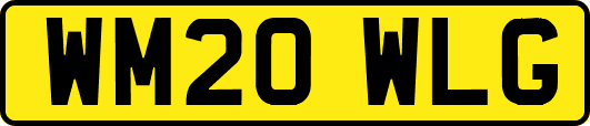 WM20WLG