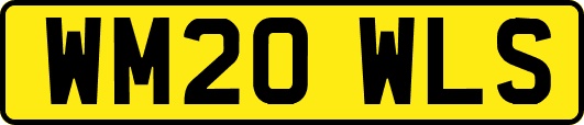 WM20WLS