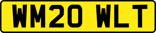 WM20WLT