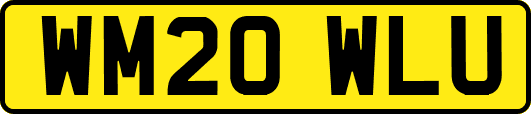 WM20WLU