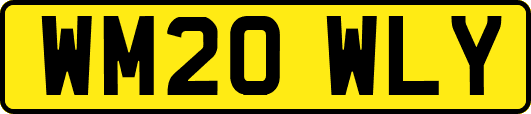 WM20WLY