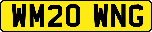 WM20WNG