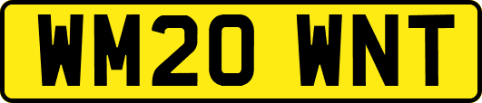 WM20WNT