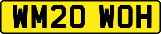 WM20WOH