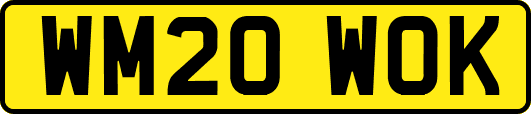 WM20WOK