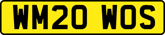 WM20WOS