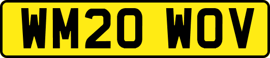 WM20WOV
