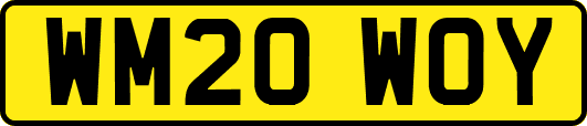 WM20WOY