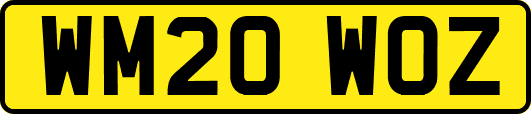 WM20WOZ