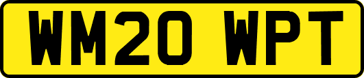 WM20WPT