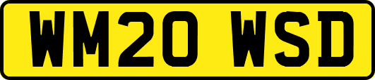 WM20WSD