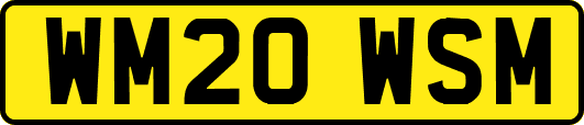 WM20WSM