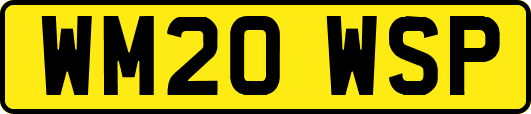 WM20WSP