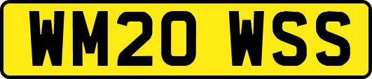 WM20WSS