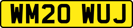 WM20WUJ