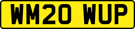 WM20WUP