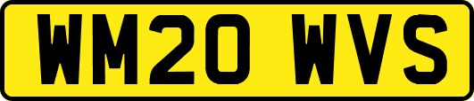 WM20WVS