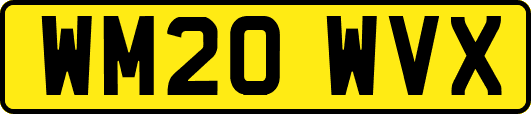 WM20WVX