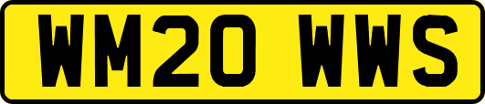 WM20WWS