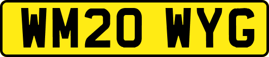 WM20WYG