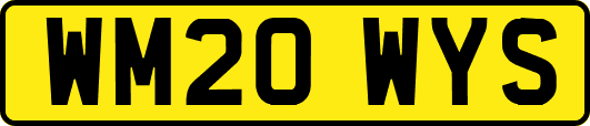 WM20WYS