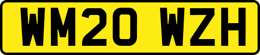 WM20WZH