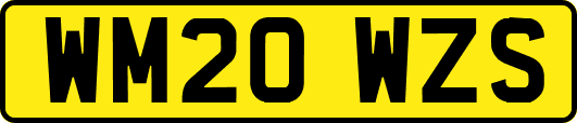 WM20WZS