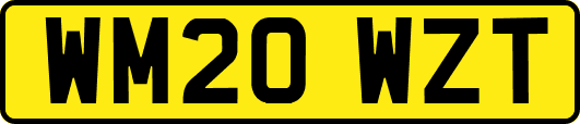 WM20WZT