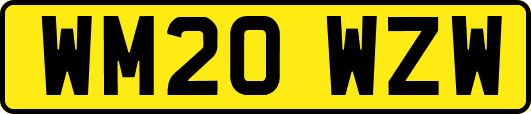 WM20WZW